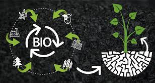 La educación sobre biochar como catalizador