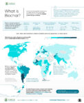 carbon_streaming_biochar_infographic